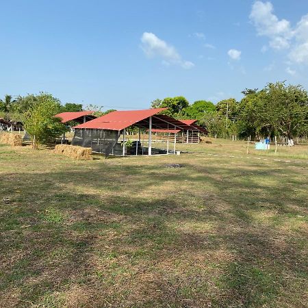 Hotel - Granja De Animales San Basilio De Palenque San Basilio del Palenque Kültér fotó