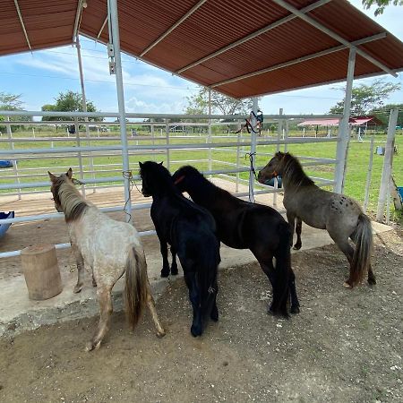 Hotel - Granja De Animales San Basilio De Palenque San Basilio del Palenque Kültér fotó