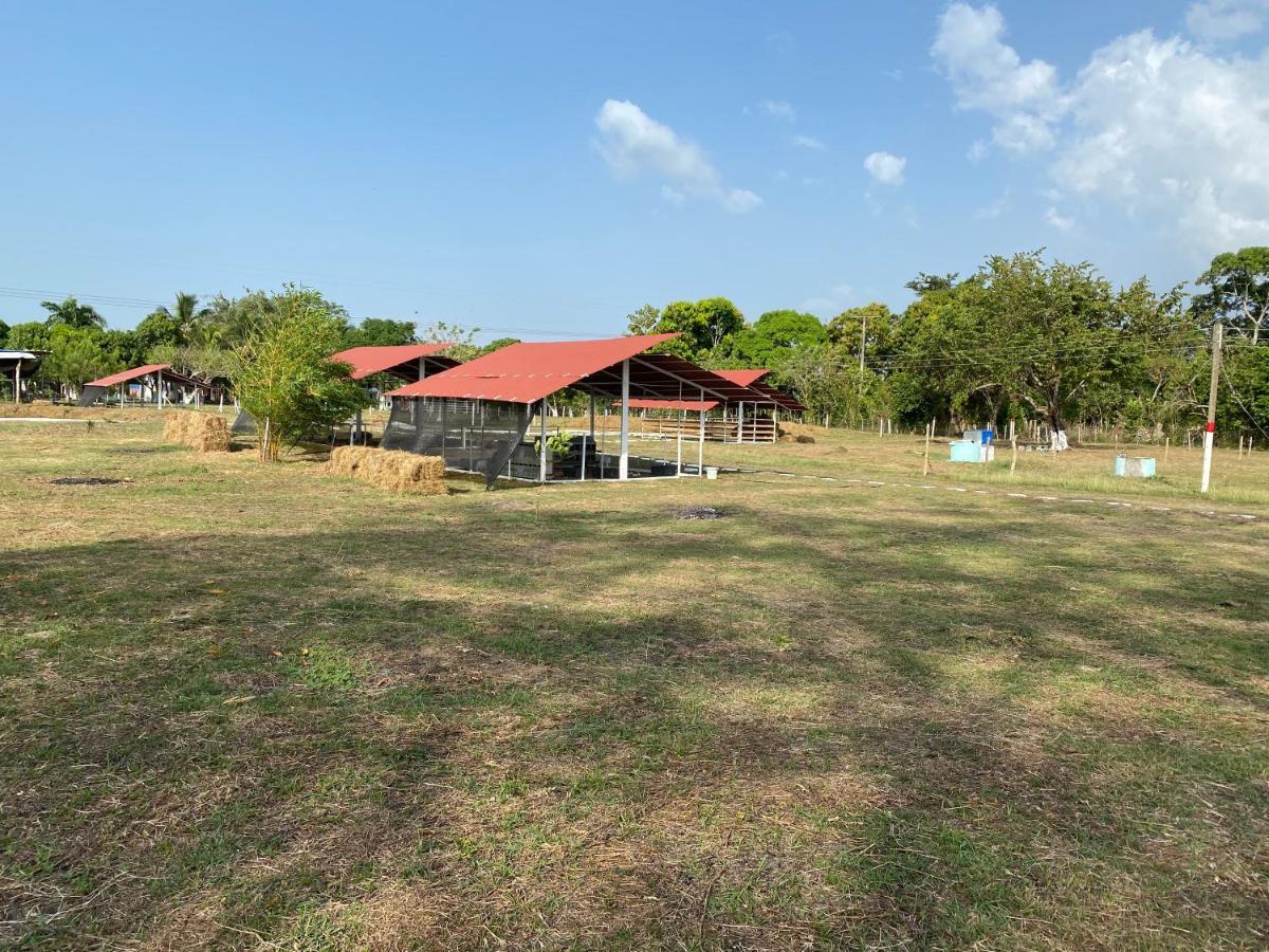 Hotel - Granja De Animales San Basilio De Palenque San Basilio del Palenque Kültér fotó