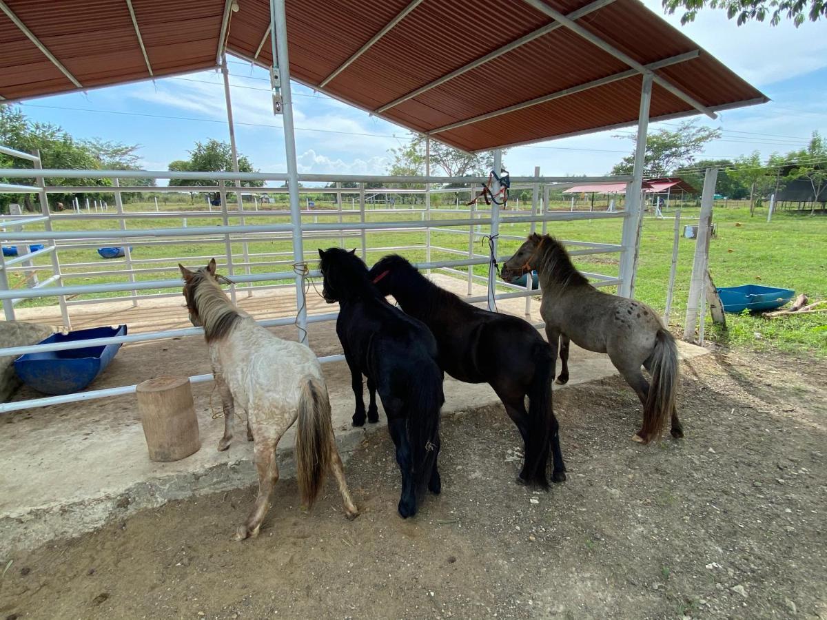 Hotel - Granja De Animales San Basilio De Palenque San Basilio del Palenque Kültér fotó