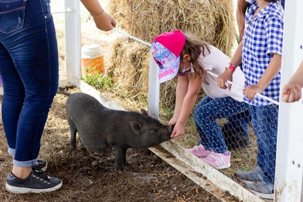 Hotel - Granja De Animales San Basilio De Palenque San Basilio del Palenque Kültér fotó