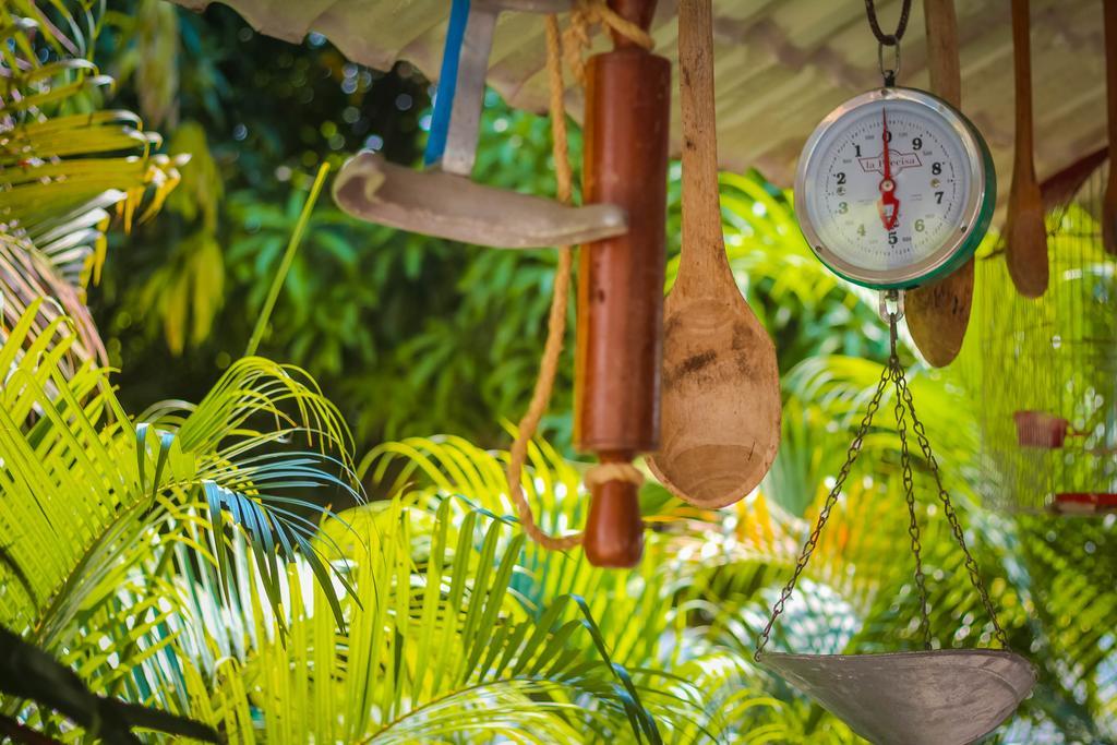Hotel - Granja De Animales San Basilio De Palenque San Basilio del Palenque Kültér fotó